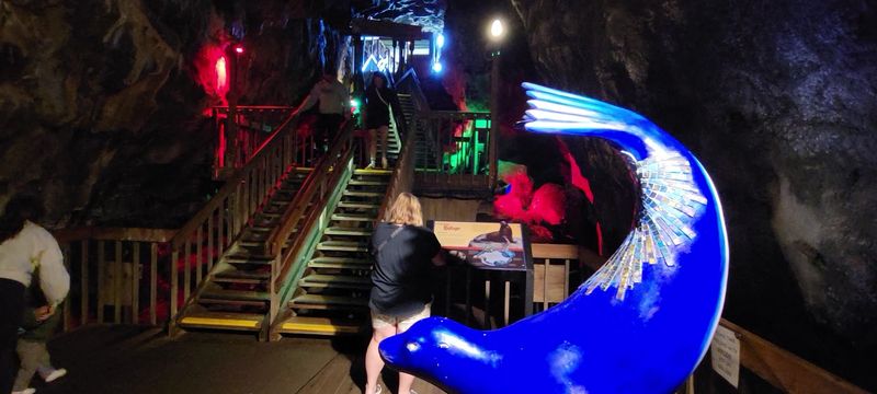 The Elevator That Drops You Into the Earth
