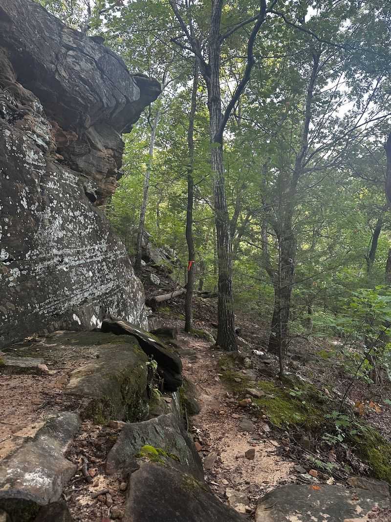 The Falls Trail and What Waits at the Hard Part