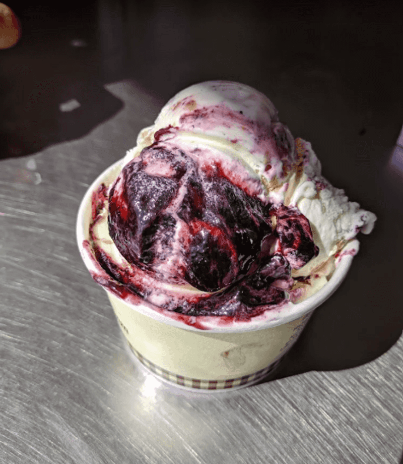 The Famous Blueberry Pie Scoop The Famous Blueberry Pie Scoop