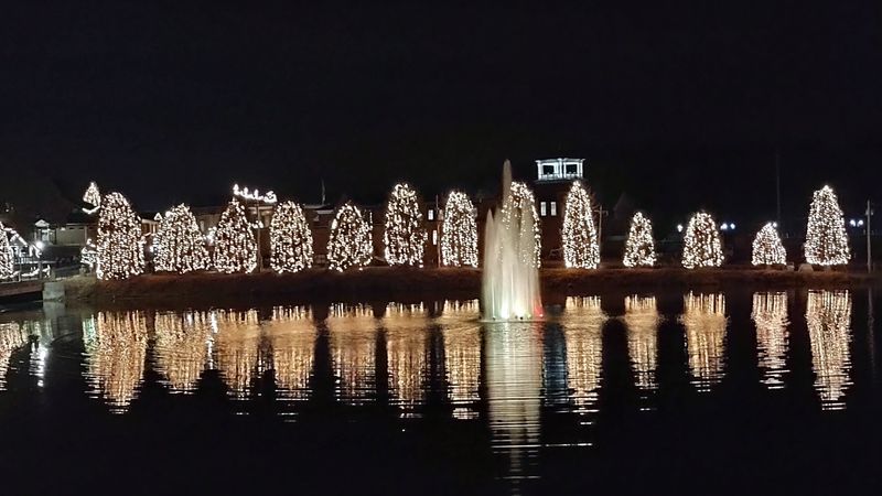 The Famous Lighting Ceremony to Kick Things Off The Famous Lighting Ceremony to Kick Things Off