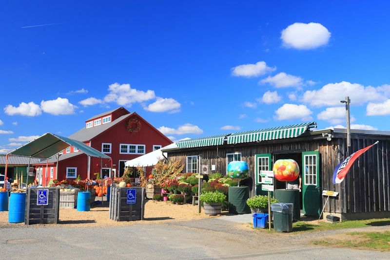 The Farm Stand and Gift Shop
