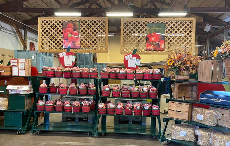 The Farm Store That Steals the Show The Farm Store That Steals the Show