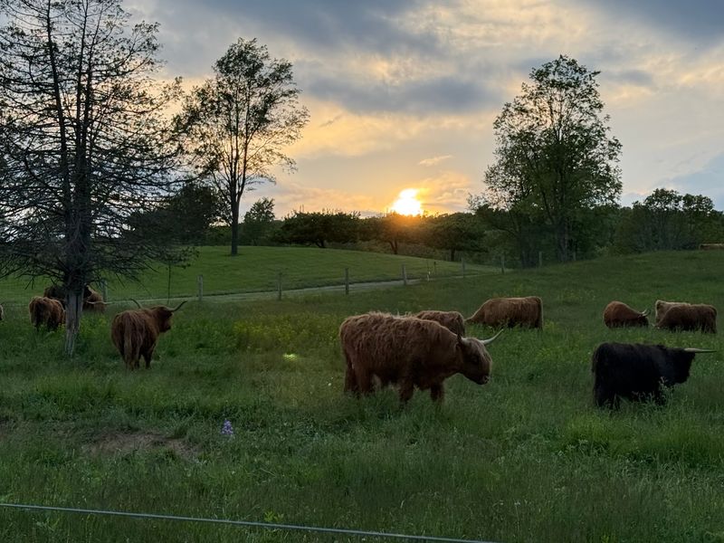 The Farm at Glenwood Mountain, Wantage, NJ The Farm at Glenwood Mountain, Wantage, NJ