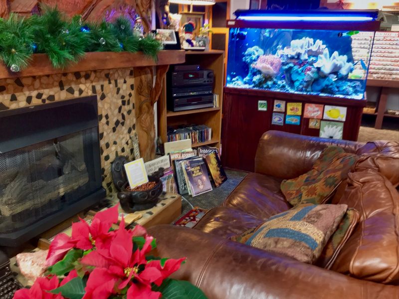 The Fireplace, the Couch, and the Famous Fish Tank The Fireplace, the Couch, and the Famous Fish Tank