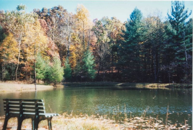 The Fish-Filled Pond and the Walk to Get There