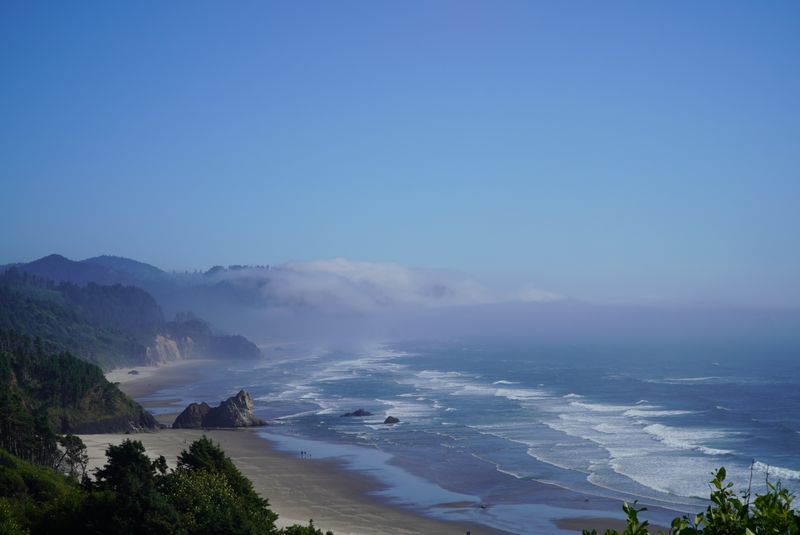 The Forested Climb of Tillamook Head Trail