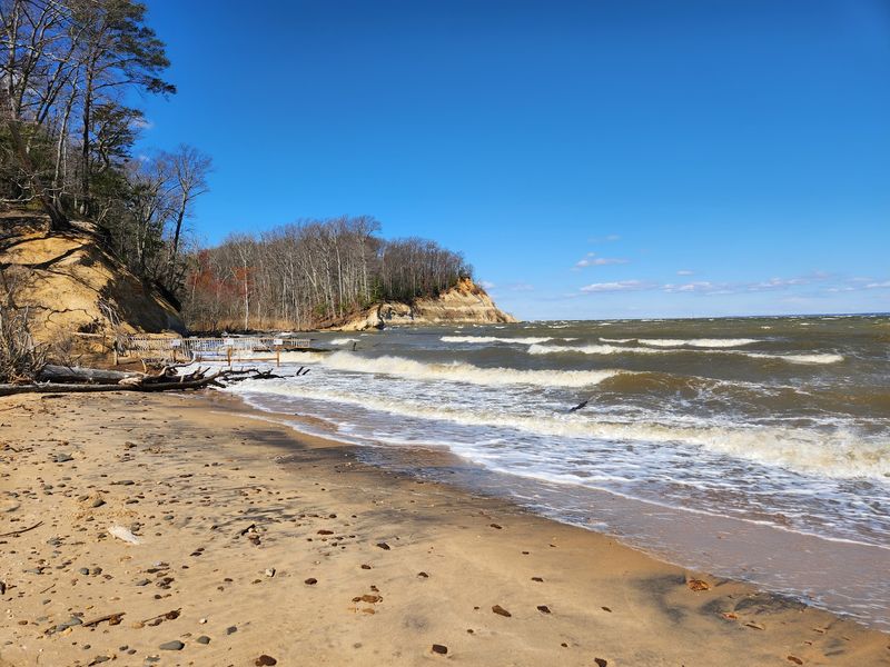 The Fossil Beach That Started the Legend The Fossil Beach That Started the Legend