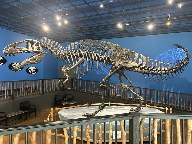 The Fossil Collection That Started Everything