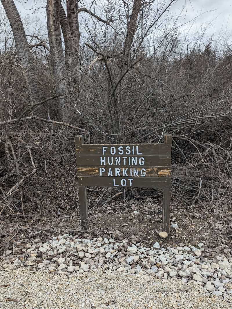 The Fossil Permit System and How It Works The Fossil Permit System and How It Works
