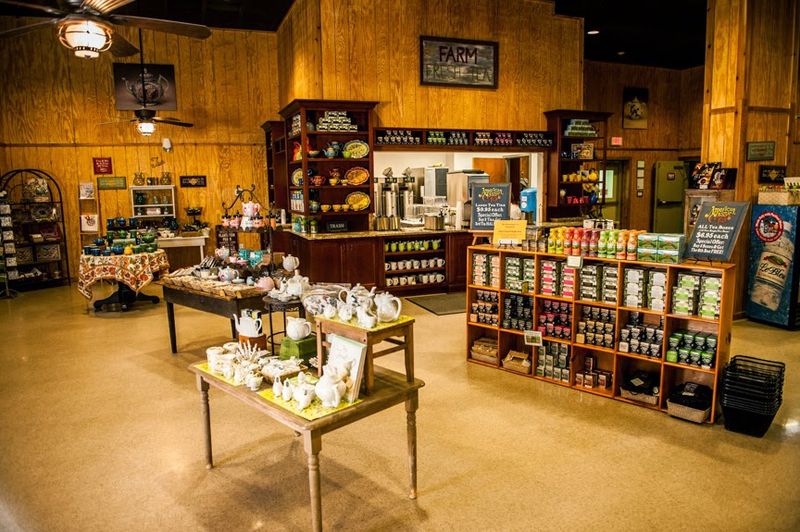 The Free Hot and Iced Tea Bar