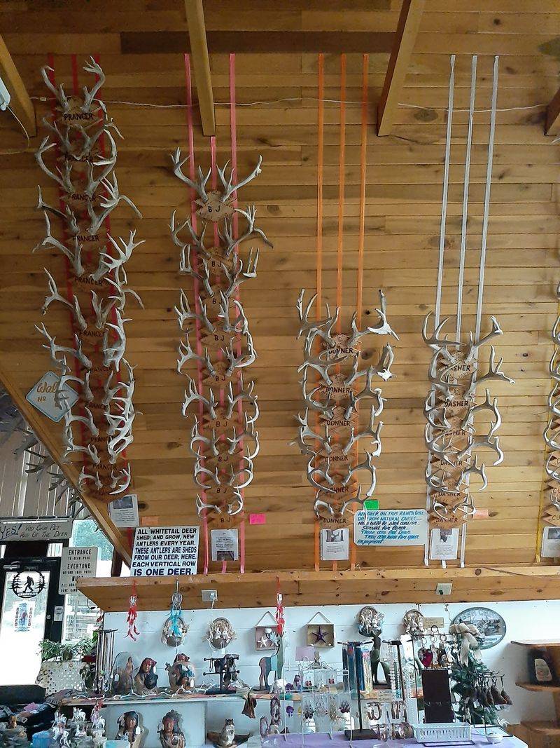 The Gift Shop: Local Craft, Antlers, and Memories to Take Home