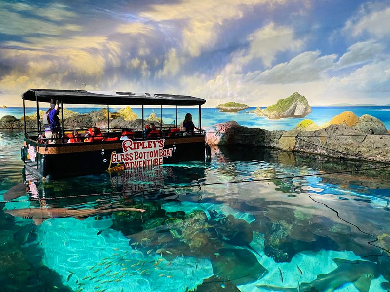 The Glass-Bottom Boat Over Shark Lagoon The Glass-Bottom Boat Over Shark Lagoon