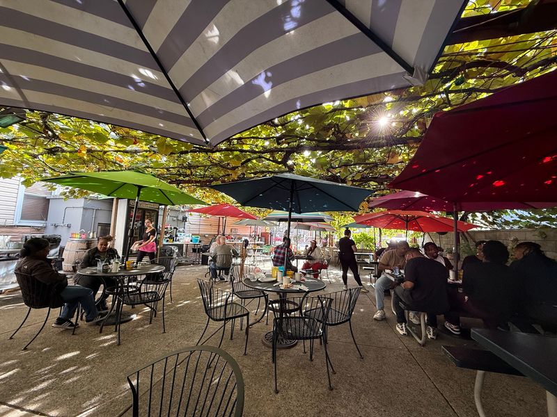 The Grape Vine Courtyard That Steals the Show The Grape Vine Courtyard That Steals the Show