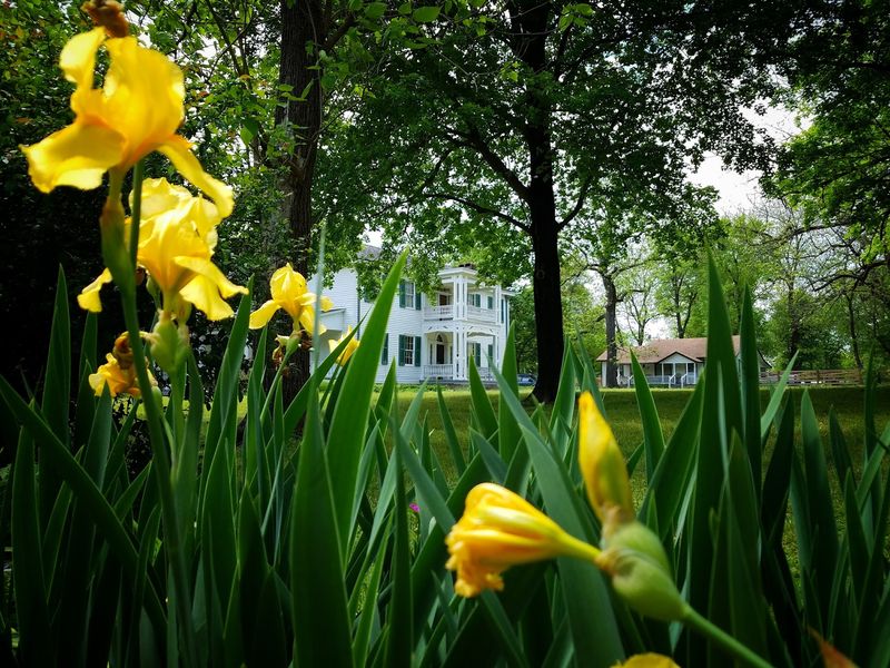 The Greek Revival Architecture Up Close