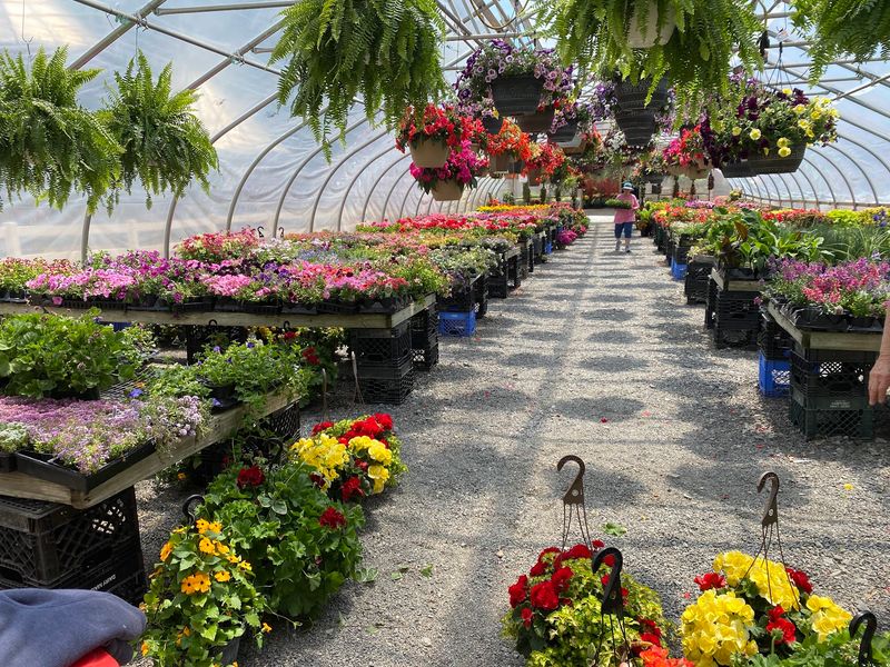 The Greenhouse and Spring Planting Season The Greenhouse and Spring Planting Season