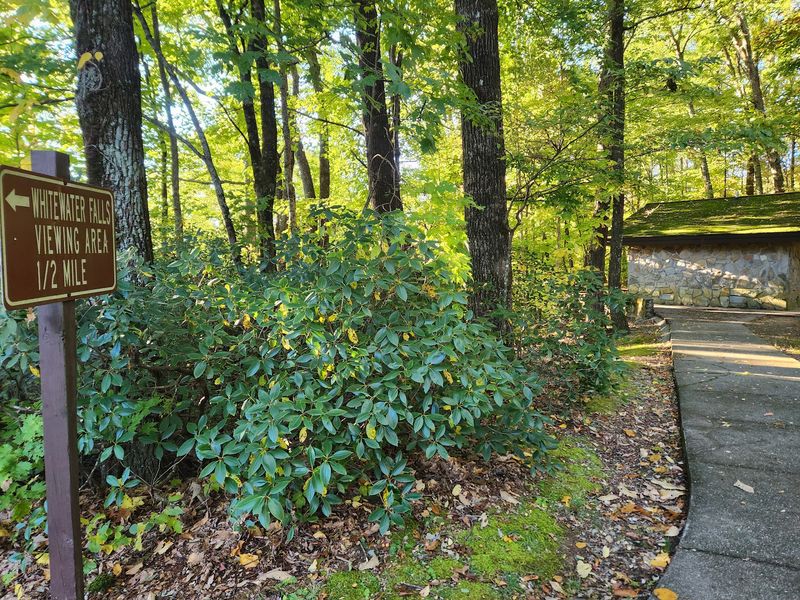 The Half-Mile Paved Path The Half-Mile Paved Path