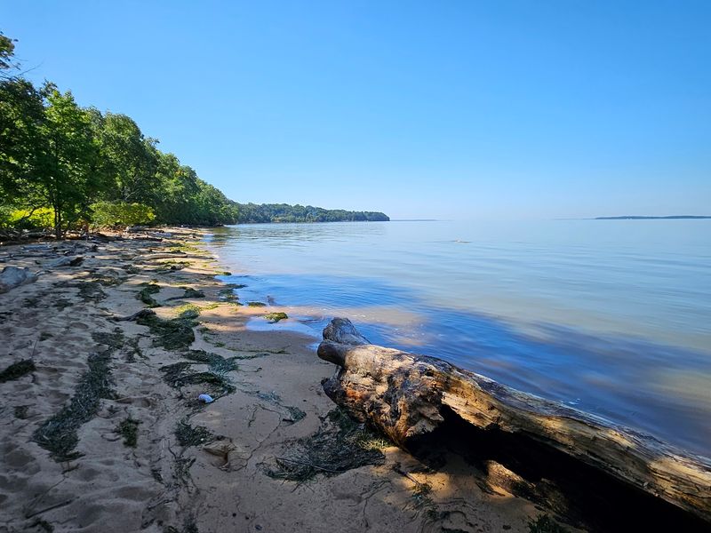 The Hidden Beach Near the Point