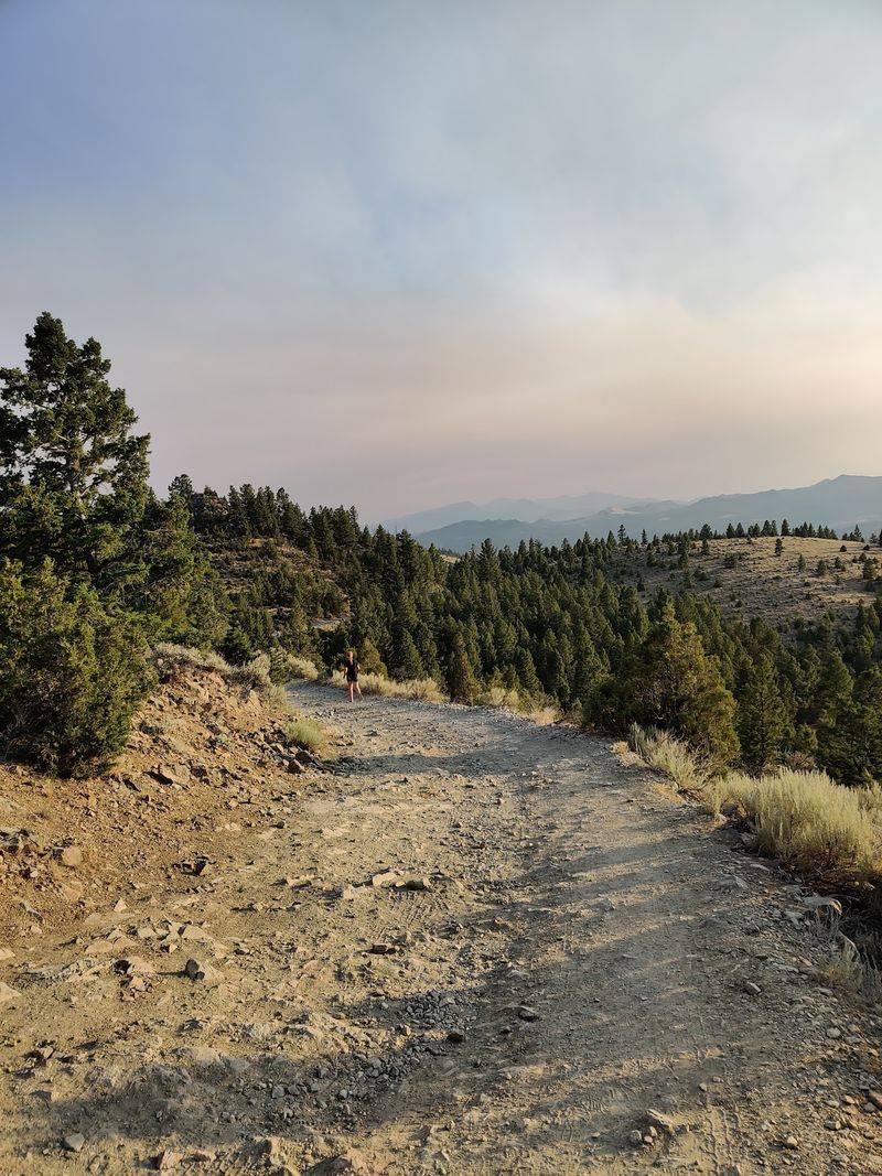 The Hike to the Boulder Field: Short But Rewarding The Hike to the Boulder Field: Short But Rewarding
