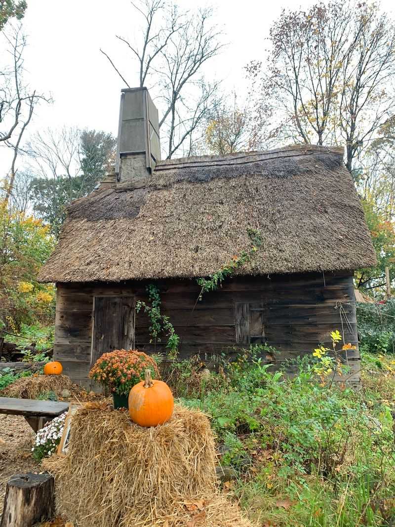 The Hocus Pocus Connection