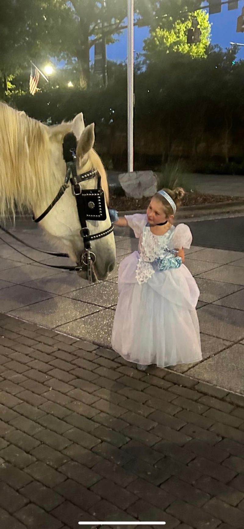 The Horse Who Runs the Show