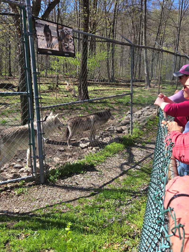 The Howl That Becomes The Trip’s Calling Card