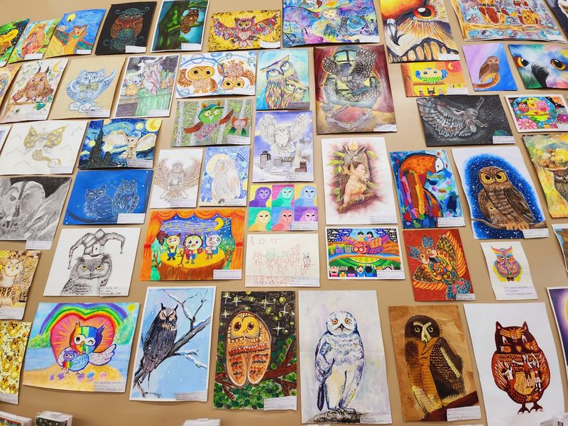 The International Children's Owl Art That Covers the Walls