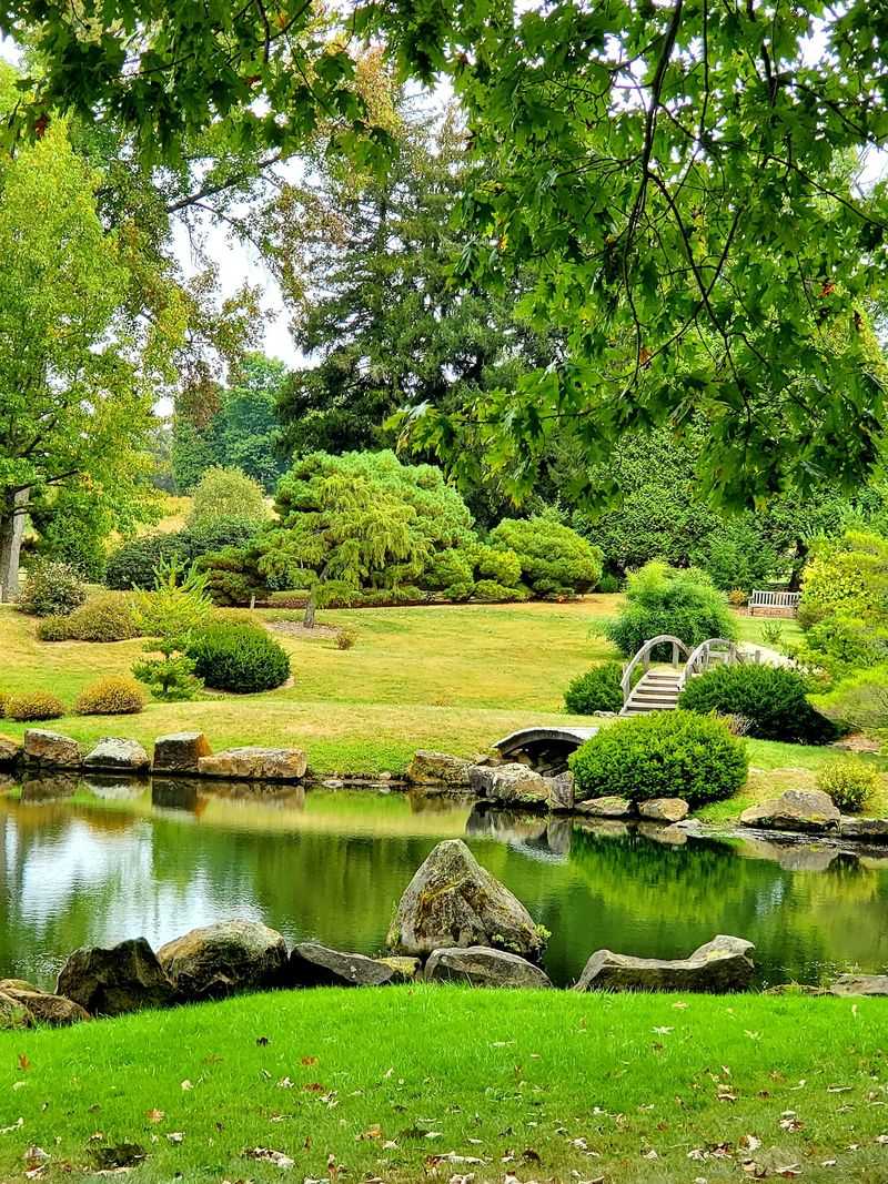 The Japanese Garden And Its Tranquil Pond The Japanese Garden And Its Tranquil Pond