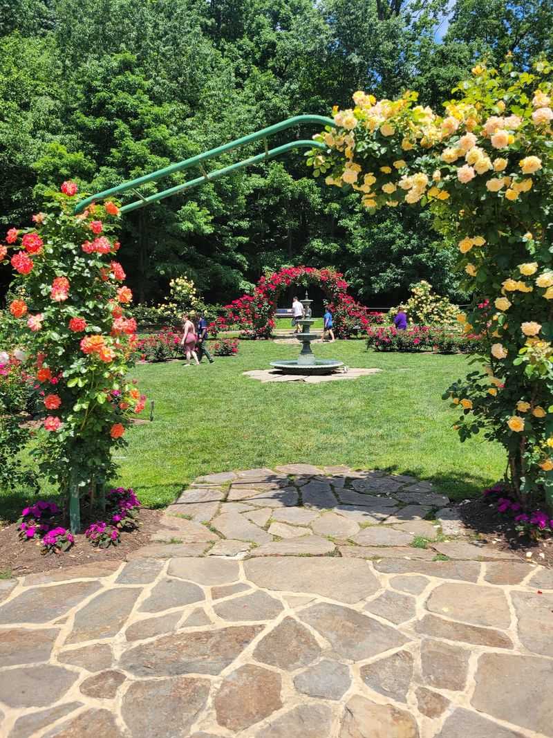The Jasper Crane Rose Garden: A Depression-Era Gift That Became World Famous The Jasper Crane Rose Garden: A Depression-Era Gift That Became World Famous