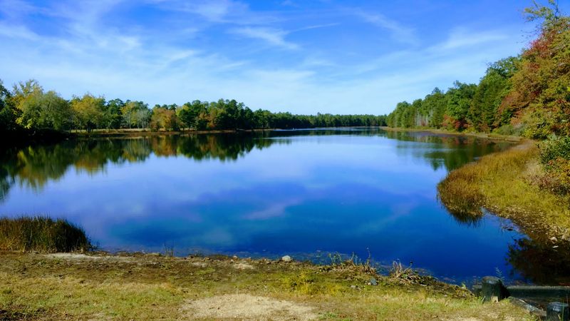The Lake And Waterside Pause