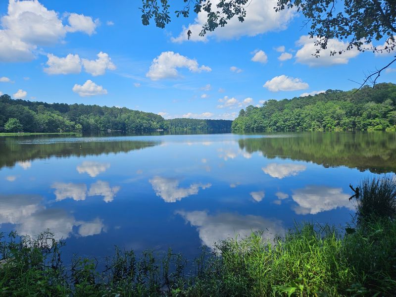 The Lake Itself: A Manufactured Marvel With a Wild Soul The Lake Itself: A Manufactured Marvel With a Wild Soul