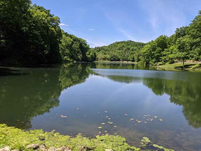 The Lake Itself, Honestly Described The Lake Itself, Honestly Described