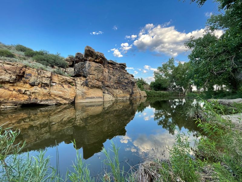 The Lakeside Setting and Swimming Creek The Lakeside Setting and Swimming Creek