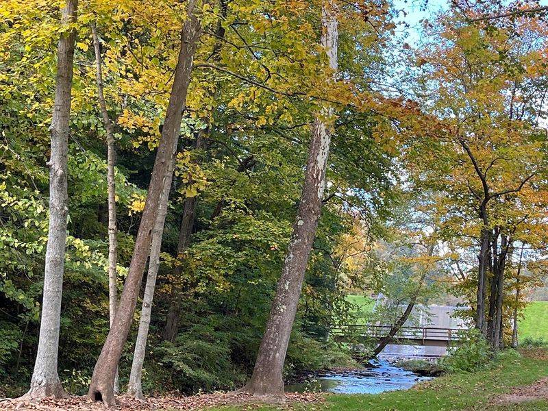 The Lakeside Trail Stroll The Lakeside Trail Stroll