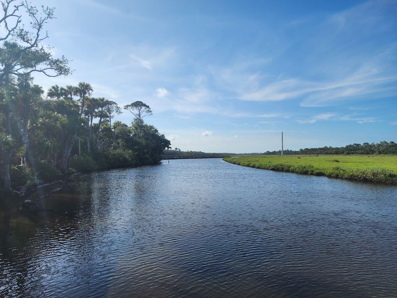 The Landscape Changes From Shoreline to Marsh and Scrub