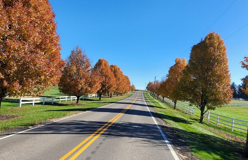The Landscape That Sets the Mood The Landscape That Sets the Mood