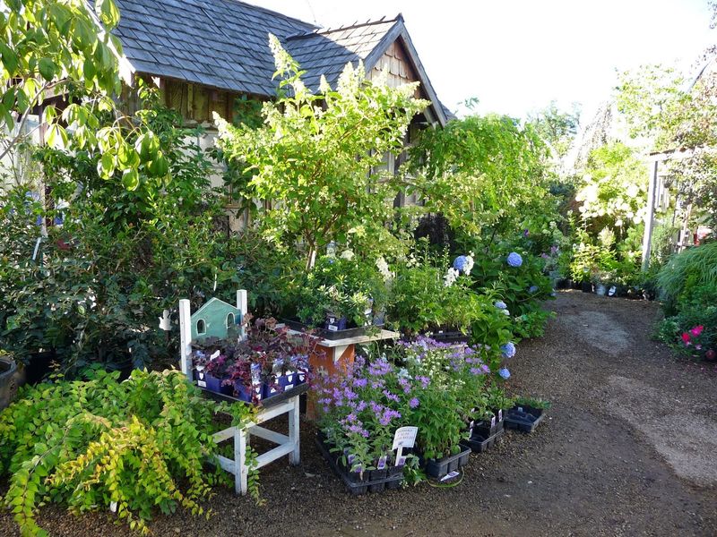 The Legacy Gardens and the Charm Hidden in Plain Sight