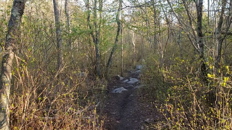 The Legend of the Bridgewater Triangle The Legend of the Bridgewater Triangle