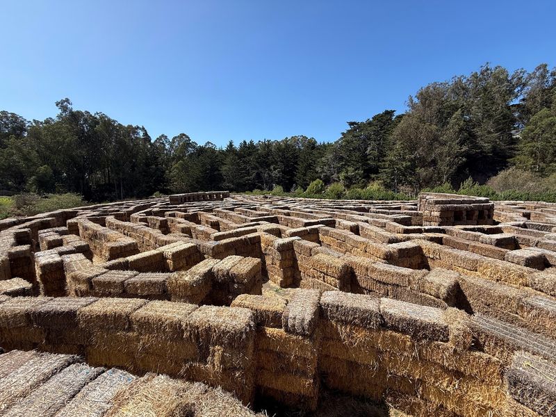 The Legendary Hay Maze The Legendary Hay Maze