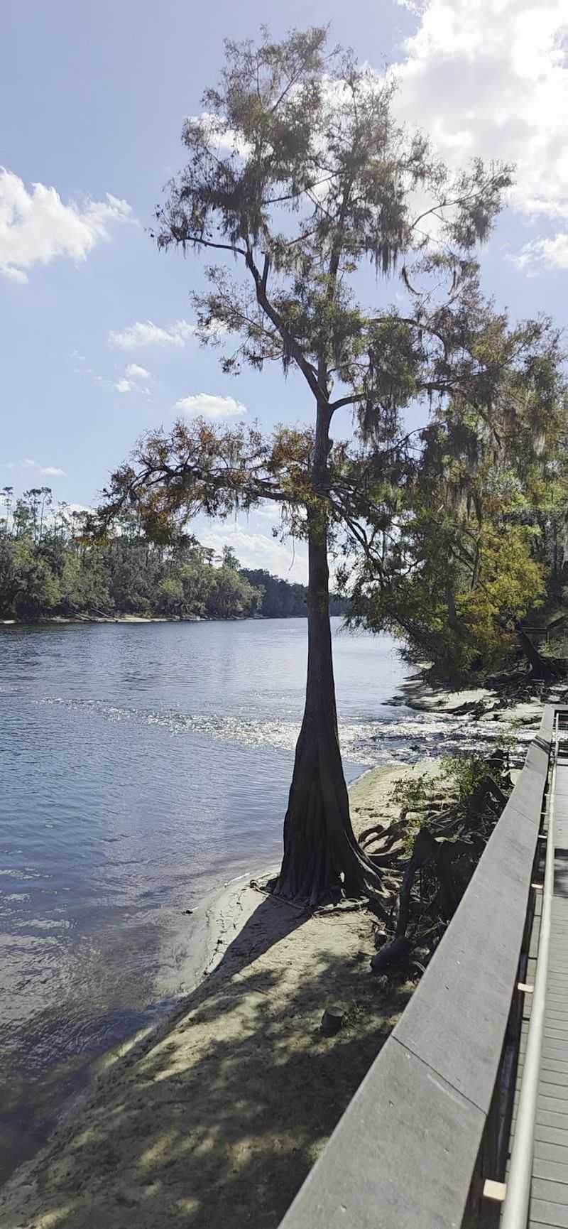 The Legendary Suwannee River at Your Doorstep