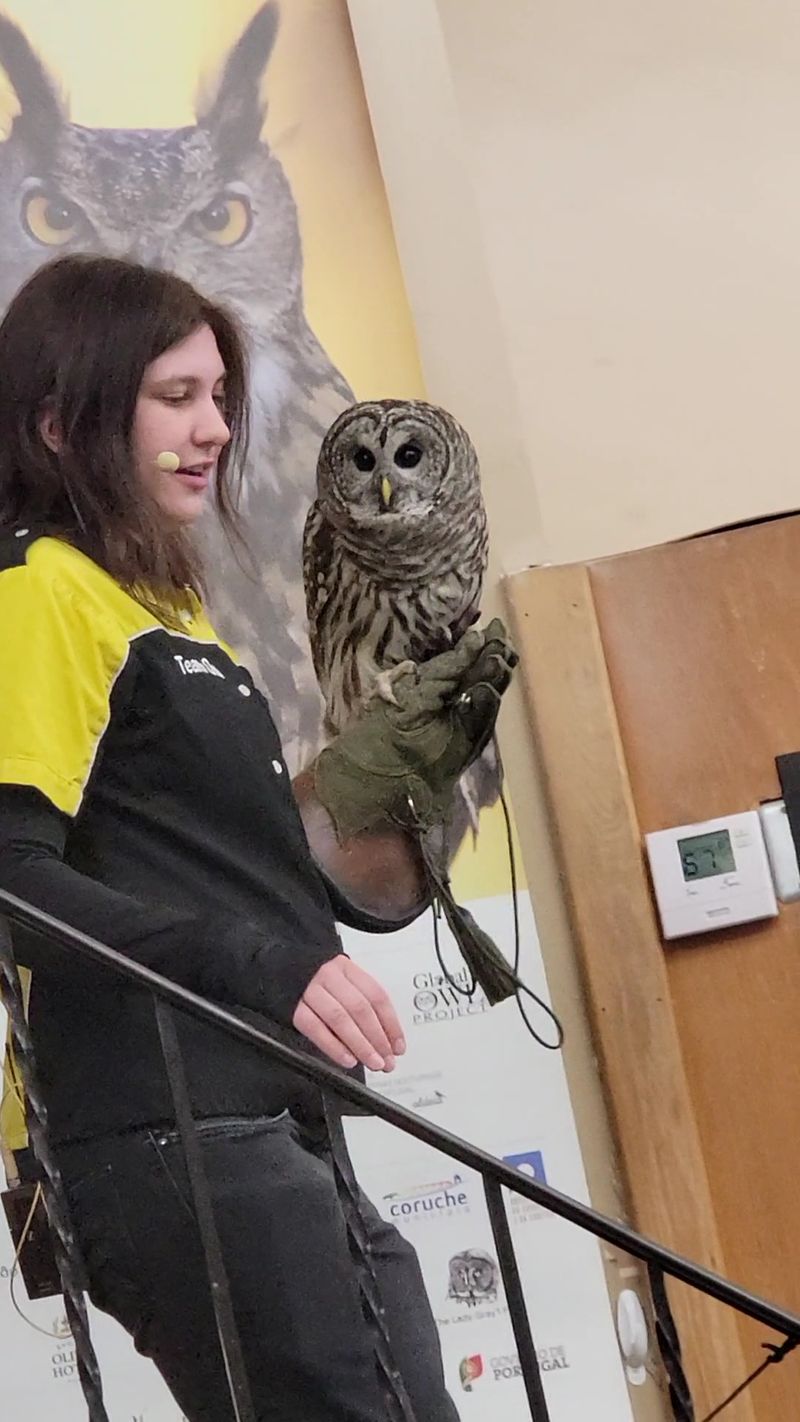 The Live Owl Ambassadors You Can Meet In Person