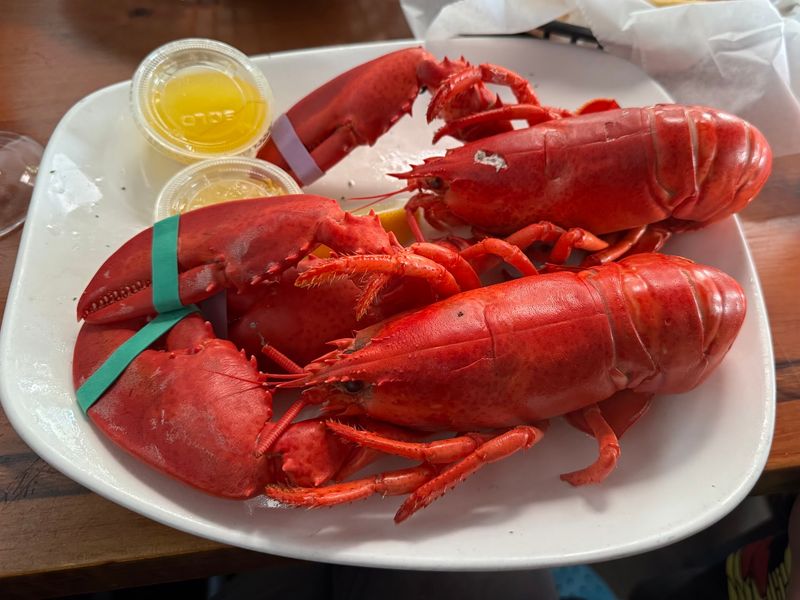 The Lobster Main Event The Lobster Main Event