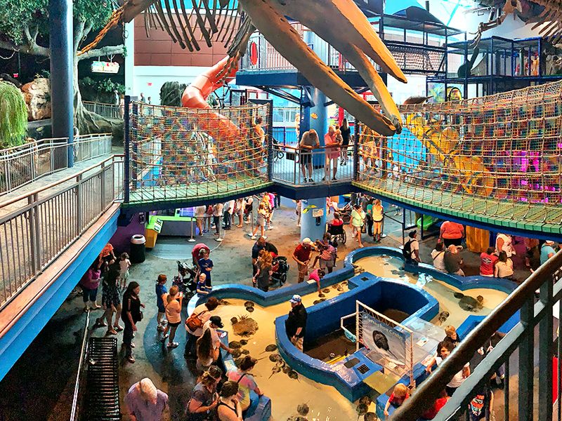 The Multi-Story Play Area The Multi-Story Play Area