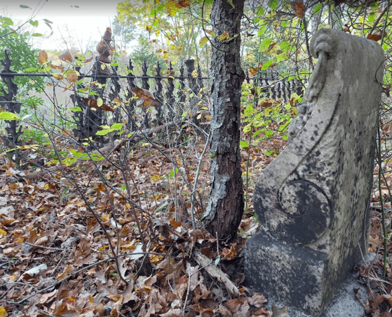 The Mysterious Pet Cemetery The Mysterious Pet Cemetery