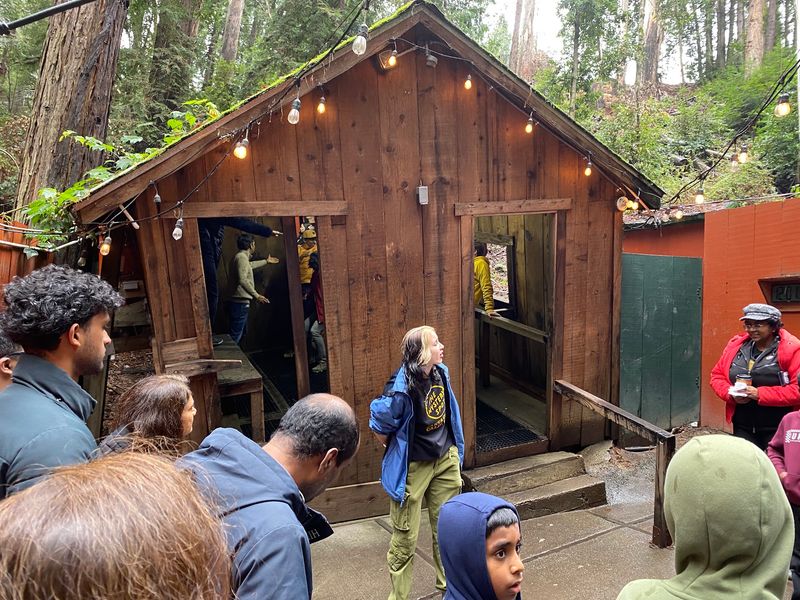 The Mystery Spot, Santa Cruz, California The Mystery Spot, Santa Cruz, California