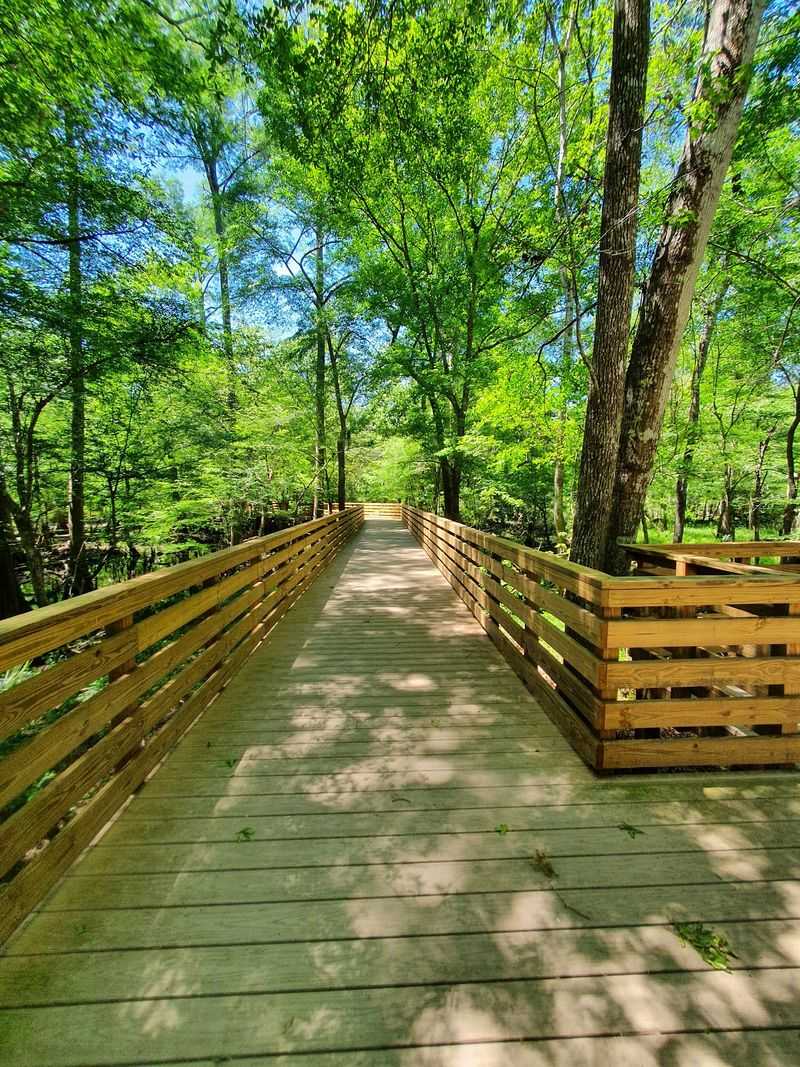 The New Boardwalk Path Down to the Water The New Boardwalk Path Down to the Water
