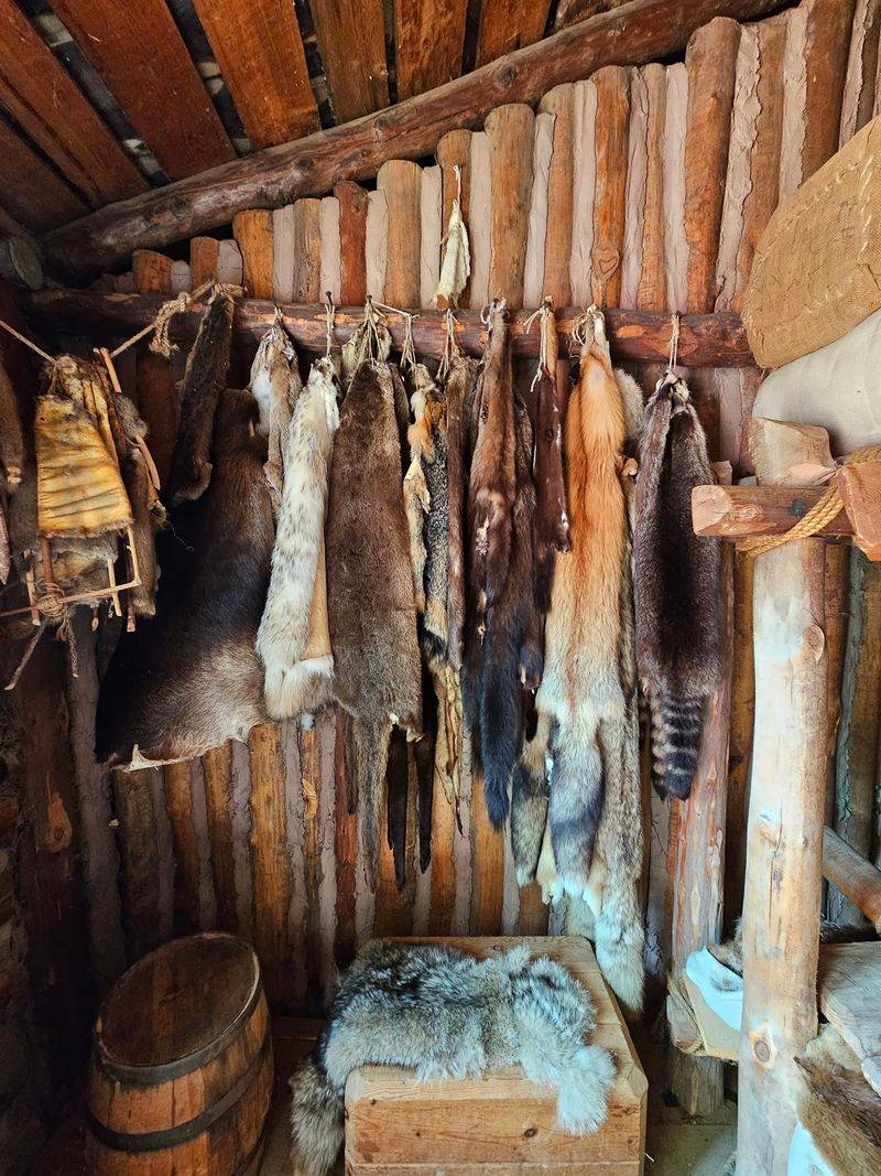 The Ojibwe Connection and the Fur Trade Relationship The Ojibwe Connection and the Fur Trade Relationship