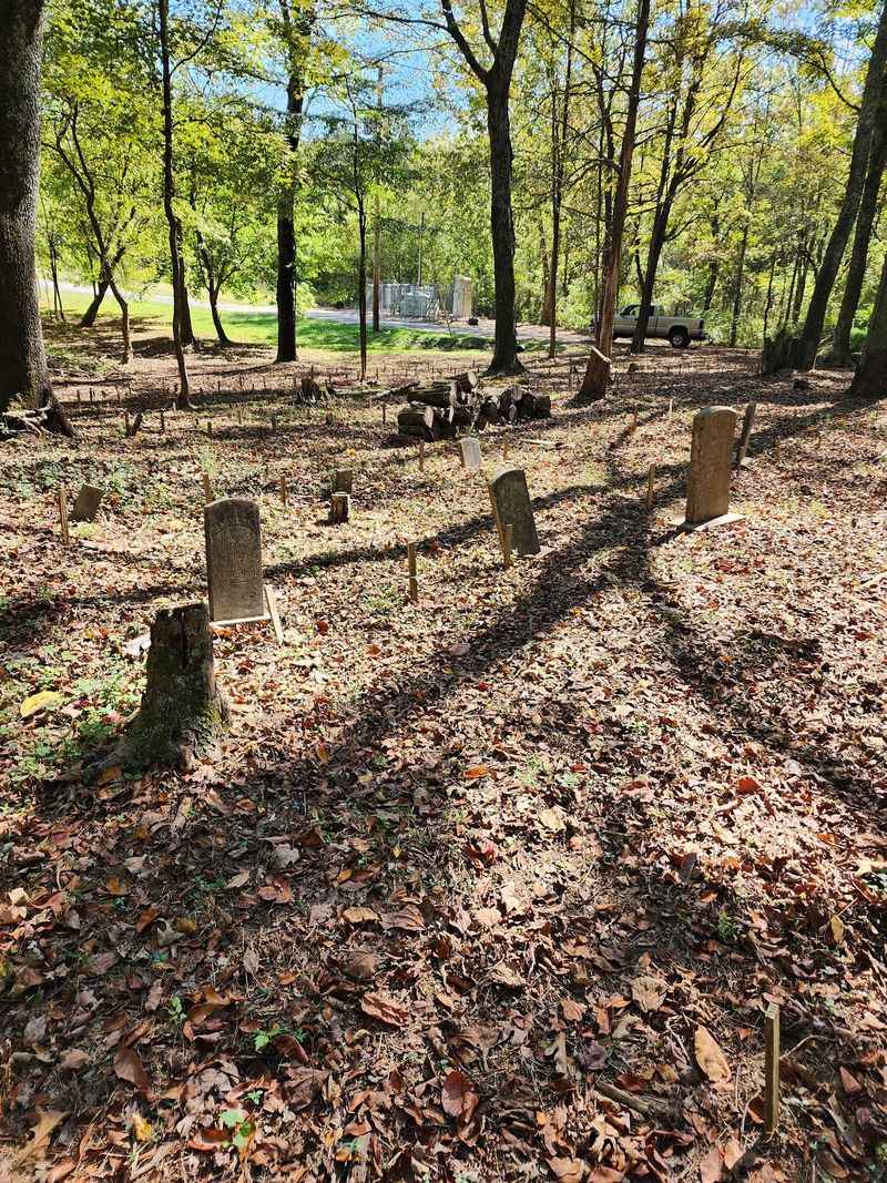 The Old Cemetery in the Woods The Old Cemetery in the Woods