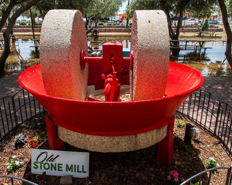 The Only Olive Oil Mill in Arizona The Only Olive Oil Mill in Arizona