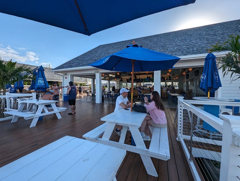 The Outdoor Tiki Area and Patio Pull The Outdoor Tiki Area and Patio Pull