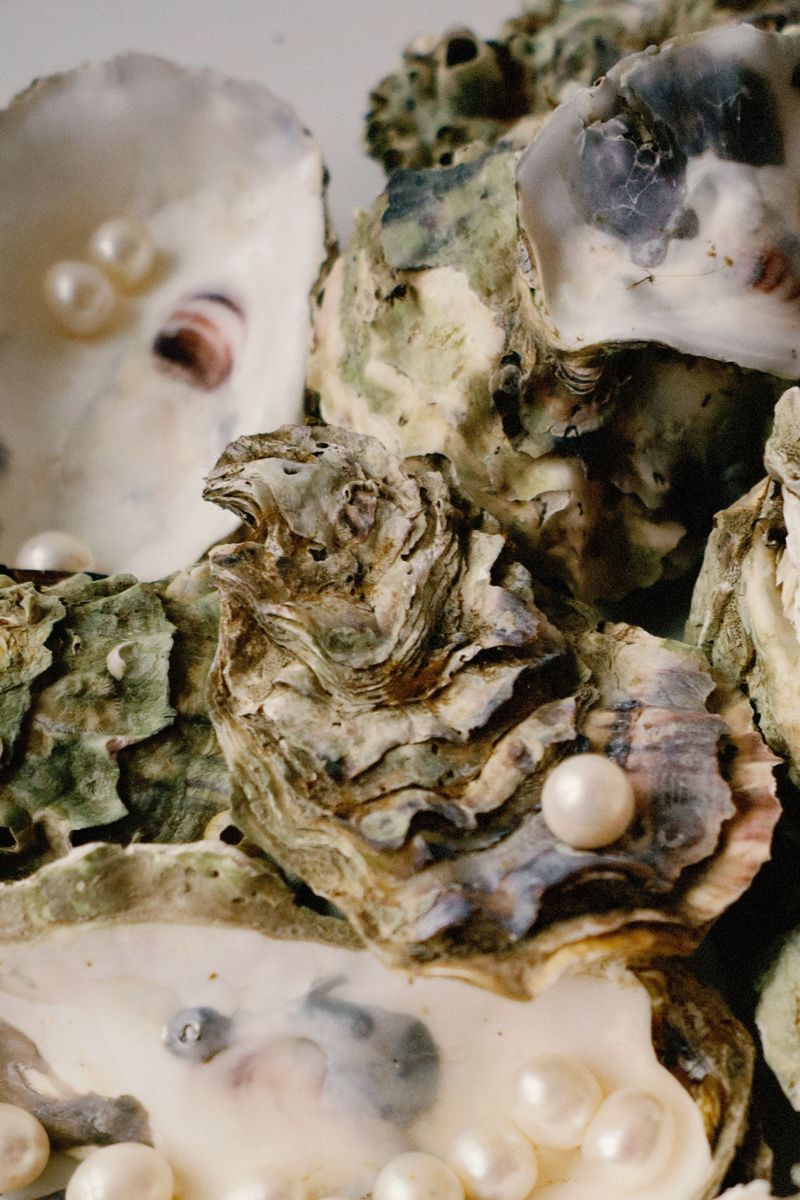 The Oysters You Eat Can Produce Pearls, Just Not Valuable Ones The Oysters You Eat Can Produce Pearls, Just Not Valuable Ones